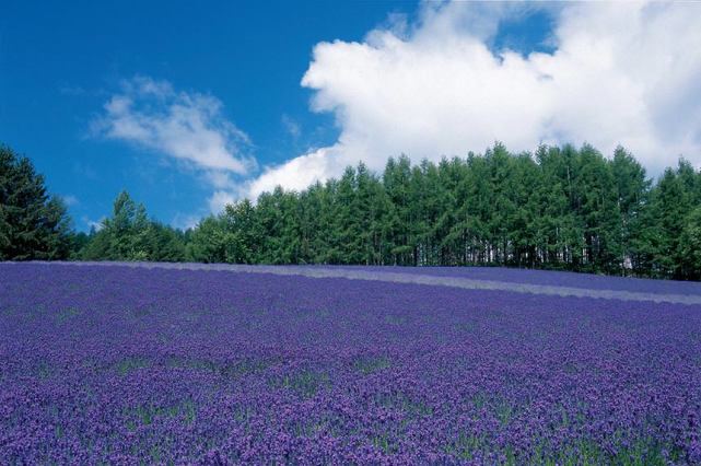 亲密关系 | 经济独立的女人婚姻更幸福吗?心理专家一针见血的分析 亲密关系 | 经济独立的女人婚姻更幸福吗?心理专家一针见血的分析