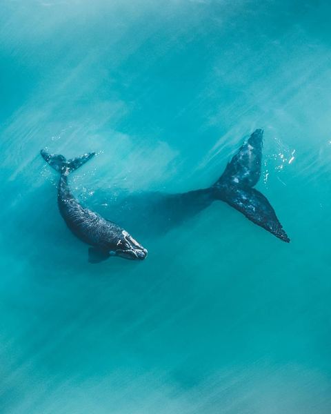 PTSD是什么意思:看懂这篇你就释然了(两性篇) PTSD是什么意思:看懂这篇你就释然了(两性篇)