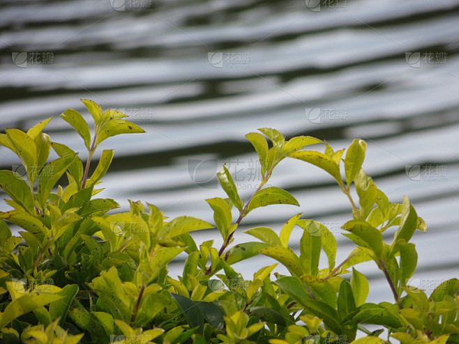 青少年心事 | 父母的哪些行为会给孩子留下一辈子的心理阴影? 青少年心事 | 父母的哪些行为会给孩子留下一辈子的心理阴影?