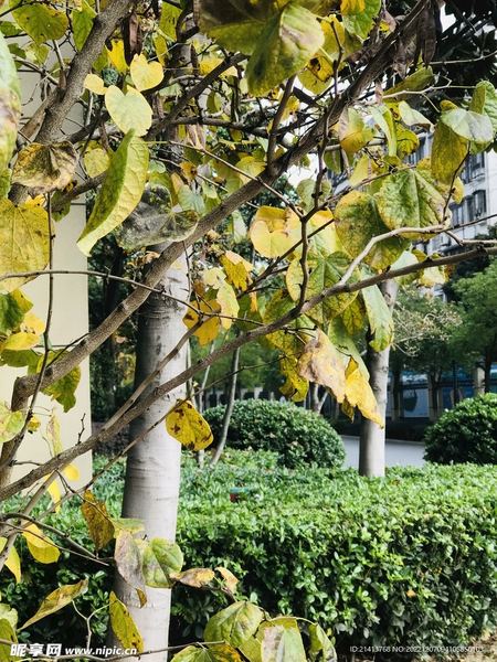 拖延症是心理疾病吗的亲身经历:从崩溃到释然,我用了三个月 拖延症是心理疾病吗的亲身经历:从崩溃到释然,我用了三个月