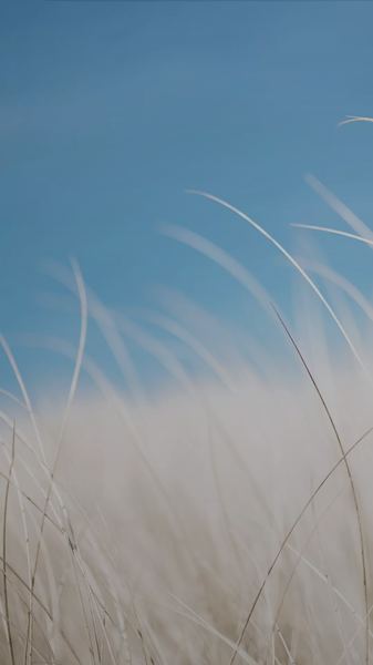 前任找你是想复合还是暧昧自救手册:从今天开始改变 前任找你是想复合还是暧昧自救手册:从今天开始改变