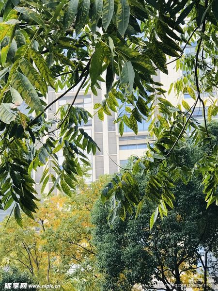 婚前恐惧症怎么克服:3个技巧让你不再反复纠结 婚前恐惧症怎么克服:3个技巧让你不再反复纠结