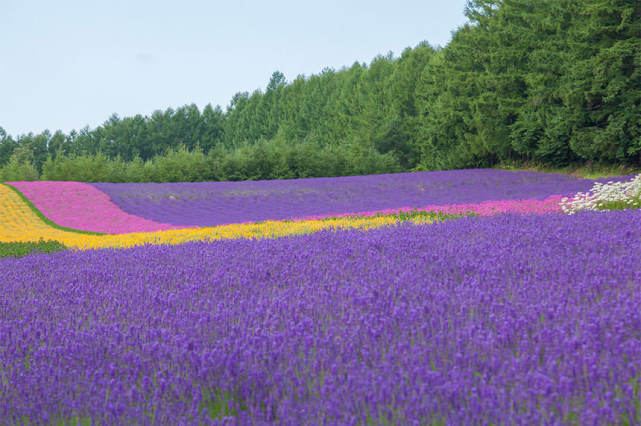 中年婚姻危机三大特征是什么 —— 内在小孩必读 中年婚姻危机三大特征是什么 —— 内在小孩必读