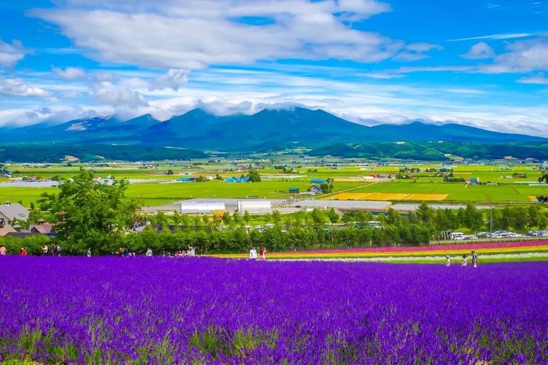 每天坚持做一件小事的力量?很多人都忽略了这一点 每天坚持做一件小事的力量?很多人都忽略了这一点