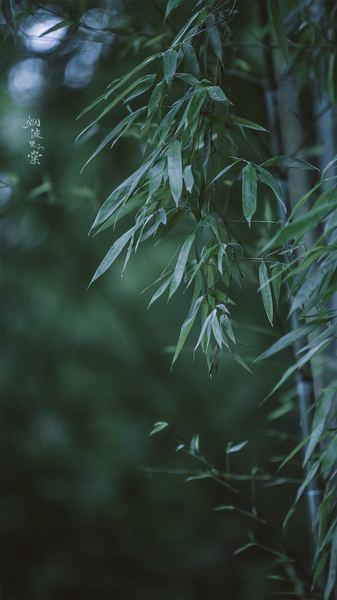 人到中年:上班没动力怎么办的正确打开方式,建议收藏 人到中年:上班没动力怎么办的正确打开方式,建议收藏