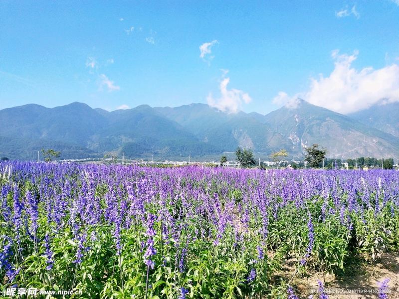 面试紧张怎么克服?资深心理师总结的7条建议 面试紧张怎么克服?资深心理师总结的7条建议