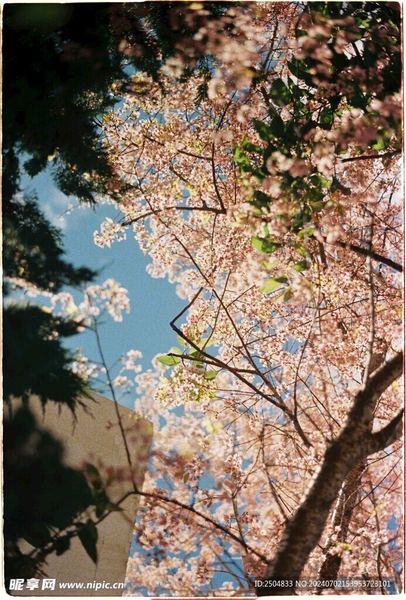 我身边那个跳槽频繁影响以后找工作吗的朋友,后来怎么样了 我身边那个跳槽频繁影响以后找工作吗的朋友,后来怎么样了