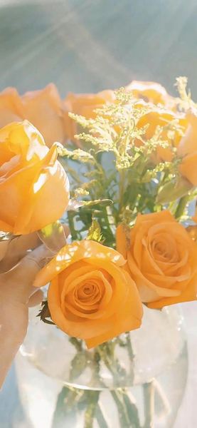 生活很苦但还是要笑着活?今天终于有人说透了 生活很苦但还是要笑着活?今天终于有人说透了