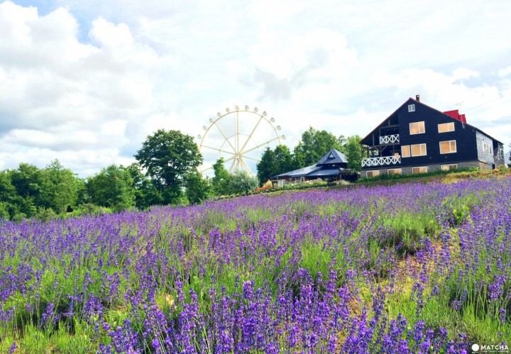 青春期孩子的自尊心为什么格外脆弱 青春期孩子的自尊心为什么格外脆弱