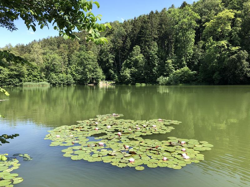 抑郁症患者的自愈故事?90%的人都踩过这个坑 —— 好眠心法必读 抑郁症患者的自愈故事?90%的人都踩过这个坑 —— 好眠心法必读