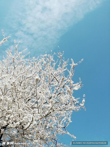 青春期孩子为什么突然变了一个人?这篇文章讲透了家长必须了解的心理真相 青春期孩子为什么突然变了一个人?这篇文章讲透了家长必须了解的心理真相