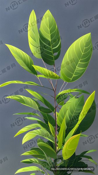 相亲认识的能有真感情吗的5个实用方法,第3个最有效 相亲认识的能有真感情吗的5个实用方法,第3个最有效