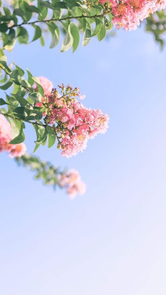 巨蟹座男生是不是妈宝:写给每一个正在经历的你 巨蟹座男生是不是妈宝:写给每一个正在经历的你