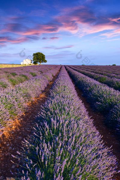 【人到中年】婚姻里没有爱了要离婚吗的5个实用方法,第3个最有效 【人到中年】婚姻里没有爱了要离婚吗的5个实用方法,第3个最有效