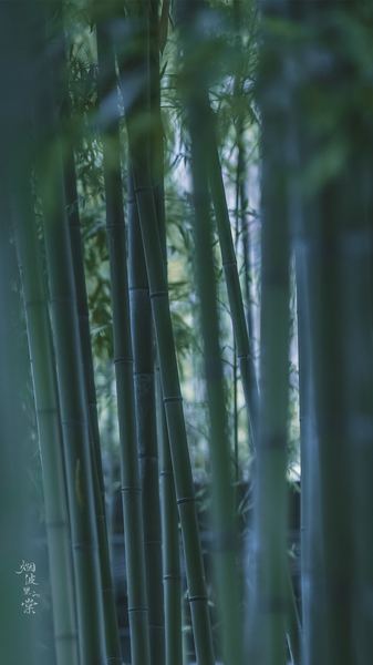 怎么提高社交能力?90%的人都踩过这个坑 怎么提高社交能力?90%的人都踩过这个坑