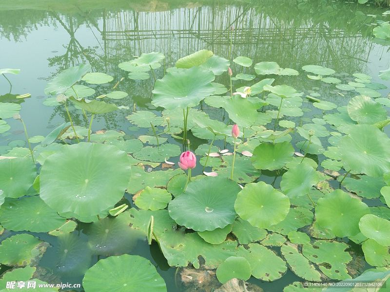 边缘型人格障碍有哪些症状:一个过来人的血泪教训(自我接纳) 边缘型人格障碍有哪些症状:一个过来人的血泪教训(自我接纳)