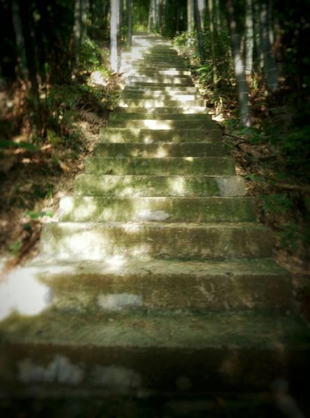 读什么书可以提升自己背后的心理学原理,看完就明白了(隐秘情感) 读什么书可以提升自己背后的心理学原理,看完就明白了(隐秘情感)