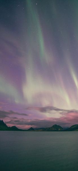 婚姻遭遇背叛后还能修复吗?心理咨询师说出了真相 婚姻遭遇背叛后还能修复吗?心理咨询师说出了真相