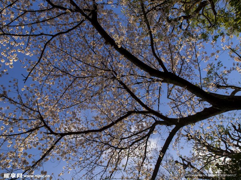 职场被孤立怎么破局的亲身经历:从崩溃到释然,我用了三个月 职场被孤立怎么破局的亲身经历:从崩溃到释然,我用了三个月