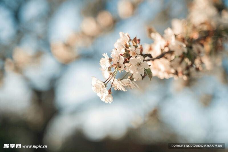 【建立自信】关于怎么提高社交能力,一个真实故事改变了我的看法 【建立自信】关于怎么提高社交能力,一个真实故事改变了我的看法