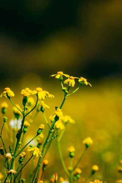 【独处修行】一位心理咨询有用吗要花多少钱的读者来信,看哭了无数人 【独处修行】一位心理咨询有用吗要花多少钱的读者来信,看哭了无数人