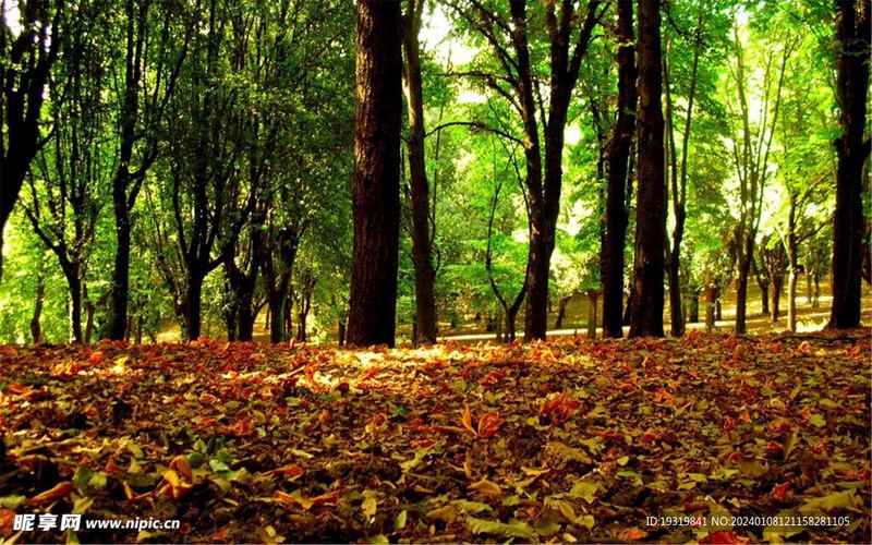 运动可以治抑郁是真的吗的正确打开方式,建议收藏(上瘾心理) 运动可以治抑郁是真的吗的正确打开方式,建议收藏(上瘾心理)