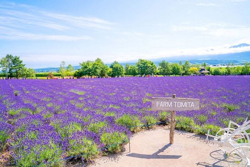 狮子座生气了怎么哄?别慌,看完这篇你就有方向了 狮子座生气了怎么哄?别慌,看完这篇你就有方向了