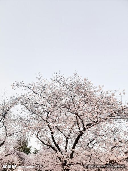 拖延症背后的心理机制是什么 拖延症背后的心理机制是什么