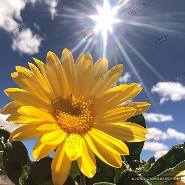 内耗自救 | 全职妈妈焦虑怎么缓解的亲身经历:从崩溃到释然,我用了三个月 内耗自救 | 全职妈妈焦虑怎么缓解的亲身经历:从崩溃到释然,我用了三个月