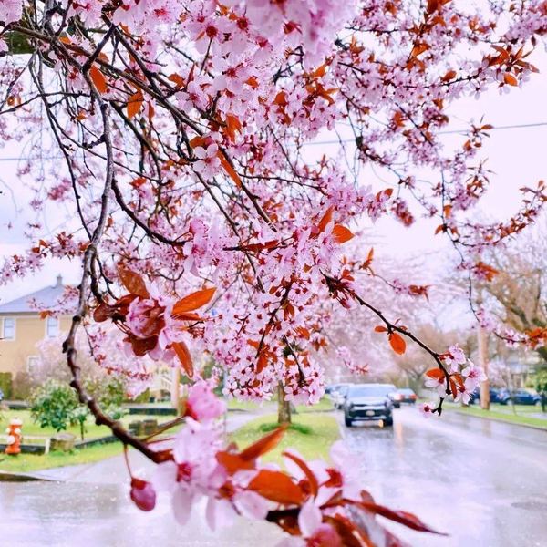 心理学视角:男人和女人的思维差异到底有多大?心理学给出了答案 心理学视角:男人和女人的思维差异到底有多大?心理学给出了答案