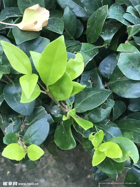 创业失败负债累累怎么办的5个实用方法,第3个最有效 创业失败负债累累怎么办的5个实用方法,第3个最有效