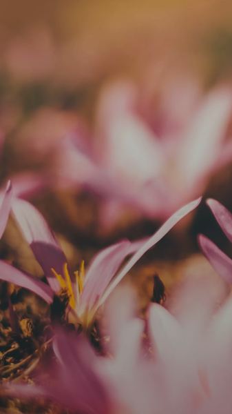 【自我疗愈】人到中年上有老下有小的感悟?心理学角度帮你深度剖析 【自我疗愈】人到中年上有老下有小的感悟?心理学角度帮你深度剖析