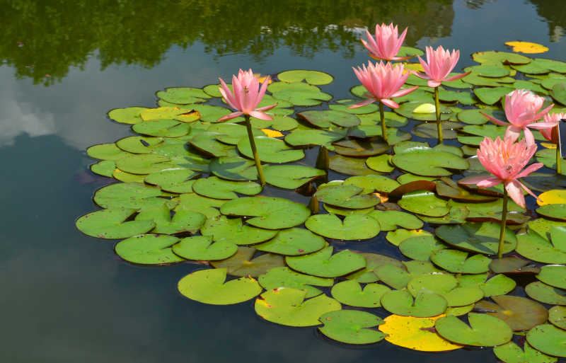 我身边那个夫妻感情变淡了怎么办的朋友,后来怎么样了 我身边那个夫妻感情变淡了怎么办的朋友,后来怎么样了